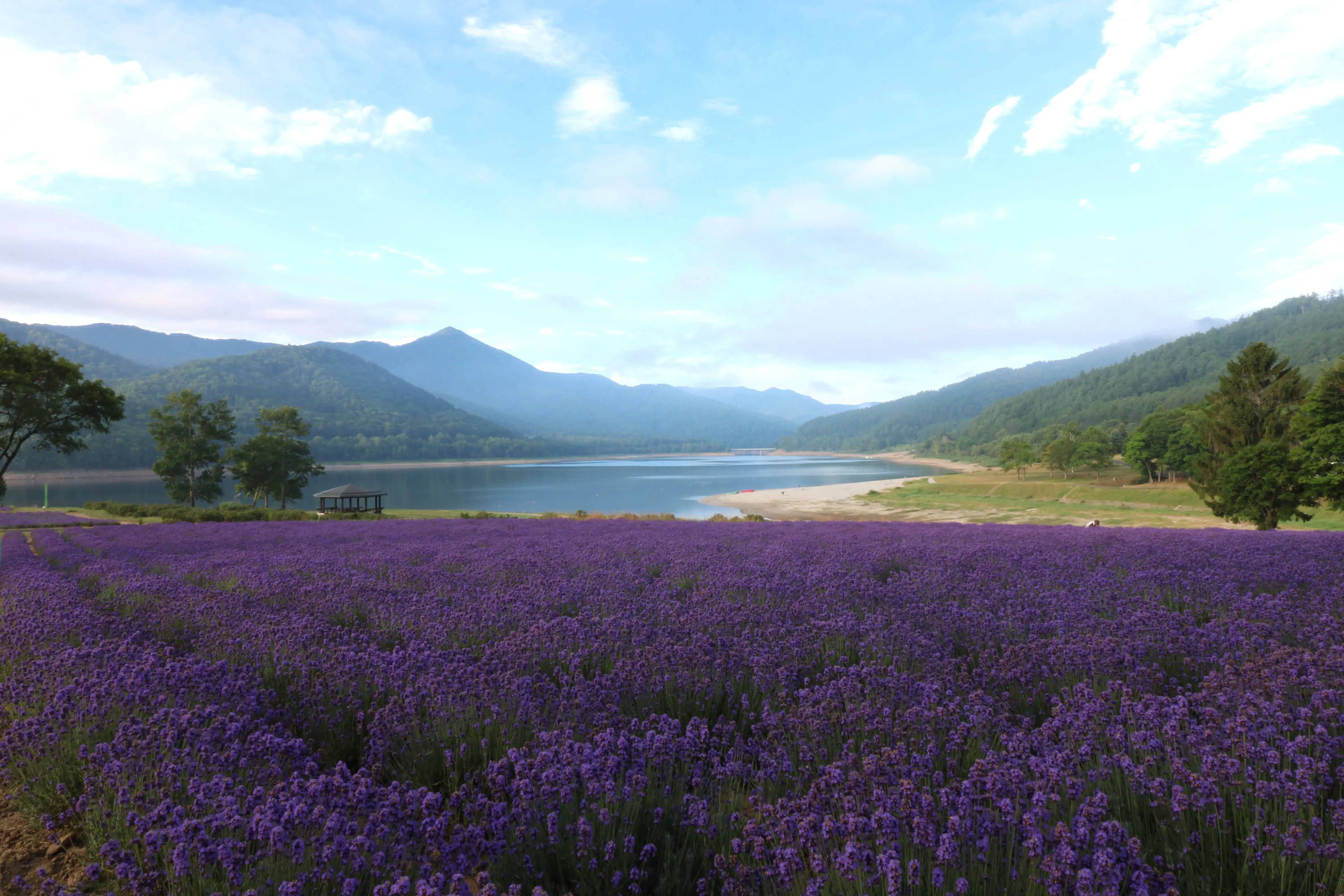 JAGグランピングビレッジふらの